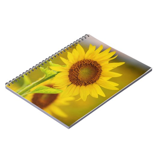 Zonnebloem Notitieboek (Linkerzijde)