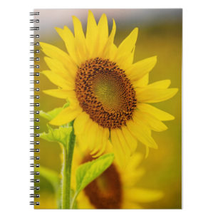 Zonnebloem Notitieboek