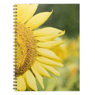 Zonnebloem Notitieboek
