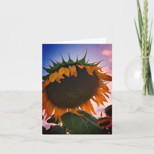 Zonnebloem Notitiekaart (Voorkant)