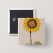 Zonnebloem of Helianthus Vierkante Button 5,1 Cm (Voorkant /achterkant)