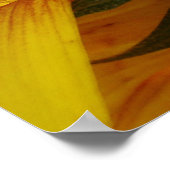 Zonnebloem onderkant poster (Hoek)