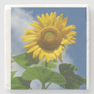 Zonnebloem onderzetter