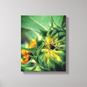 Zonnebloem Ontvouwbare bloesems Canvas Afdruk (Voorkant)