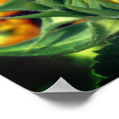 Zonnebloem Ontvouwende Spiegel Abstract Poster (Hoek)