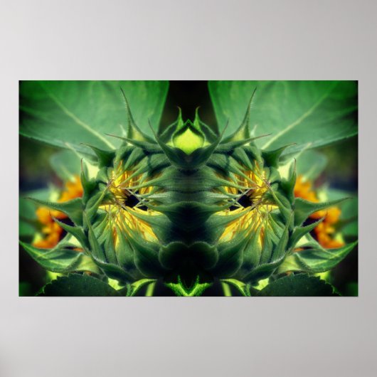 Zonnebloem Ontvouwende Spiegel Abstract Poster (Voorkant)