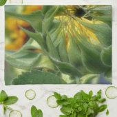 Zonnebloem ontvouwt bloem   theedoek (Gevouwen)