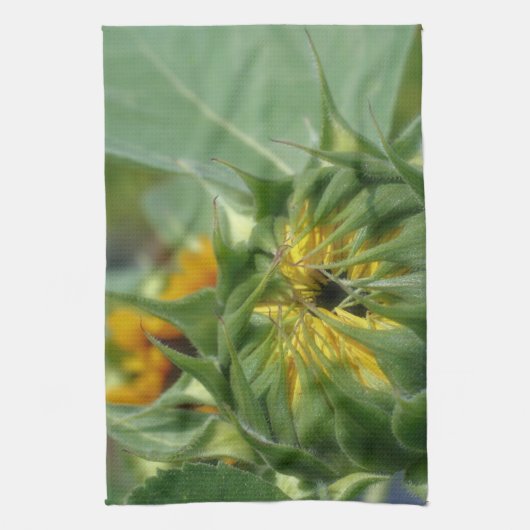 Zonnebloem ontvouwt bloem   theedoek (Verticaal)