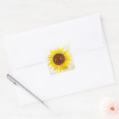 Zonnebloem op berkenbast rustieke landelijke bruil vierkante sticker (Envelop)