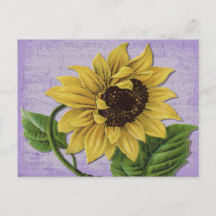 zonnebloem op blad briefkaart