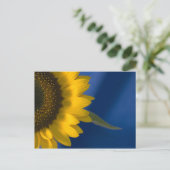 Zonnebloem op blauw briefkaart (Staand voorkant)