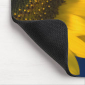 Zonnebloem op blauw muismat (Hoek)