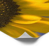 Zonnebloem op blauw poster (Hoek)