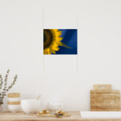 Zonnebloem op Blauw Poster (Keuken)