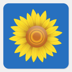 Zonnebloem op blauw vierkante sticker