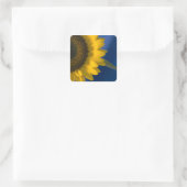 Zonnebloem op Blue Square Sticker (Tas)