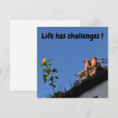 Zonnebloem op het dak. (Voorkant / Achterkant)