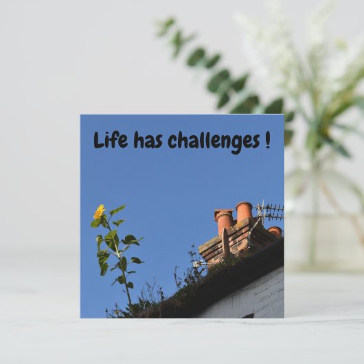 Zonnebloem op het dak. (Staand voorkant)