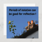 Zonnebloem op het dak. (Voorkant / Achterkant)