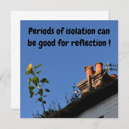 Zonnebloem op het dak. (Voorkant / Achterkant)