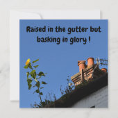 Zonnebloem op het dak. (Voorkant)