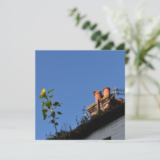 Zonnebloem op het dak. (Staand voorkant)