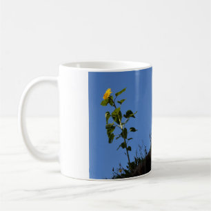 Zonnebloem op het dak. koffiemok