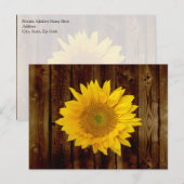 Zonnebloem op  schuur Hout Land Briefkaart (Voorkant / Achterkant)