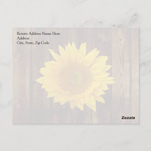 Zonnebloem op  schuur Hout Land Briefkaart (Achterkant)