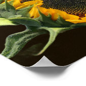 Zonnebloem op zonneschijn poster (Hoek)