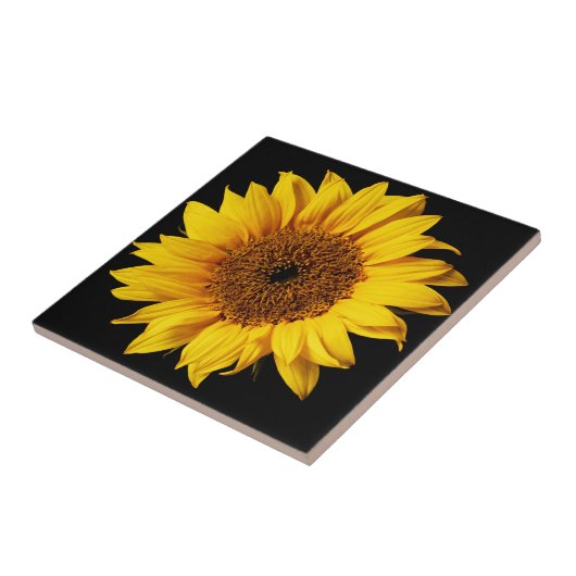 Zonnebloem op zwarte achtergrond tegeltje (Zijkant)