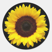 Zonnebloem op zwarte ronde geschenkenvelop Sticker