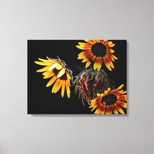 Zonnebloem opgerekt canvasprint canvas afdruk (Voorkant)