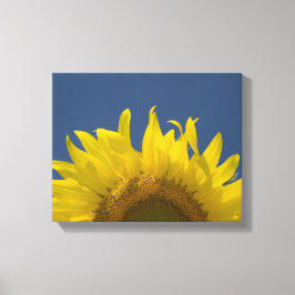 Zonnebloem Opkomend Canvas Afdruk