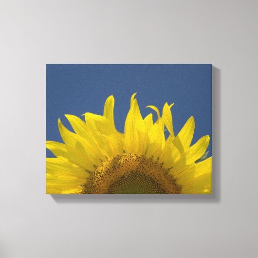 Zonnebloem Opkomend Canvas Afdruk (Voorkant)