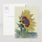  zonnebloem Origineel Shabby Old School Kijk uit Briefkaart (Voorkant / Achterkant)