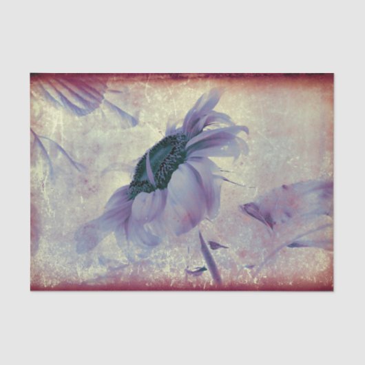 Zonnebloem Paarse Sepia Antiek textuur Tissuepapier (Voorkant)