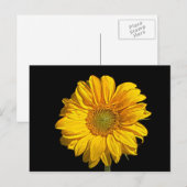 Zonnebloem pc arc4 briefkaart (Voorkant / Achterkant)