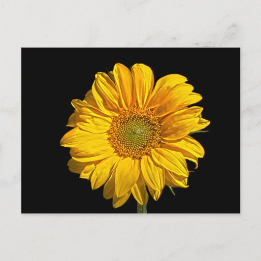 Zonnebloem pc arc4 briefkaart (Voorkant)