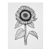 Zonnebloem Perfect Poster (Voorkant)