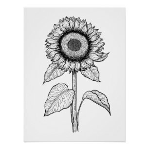 Zonnebloem Perfect Poster