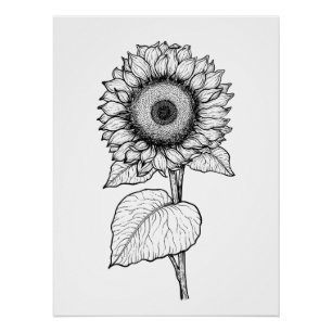 Zonnebloem Perfect Poster