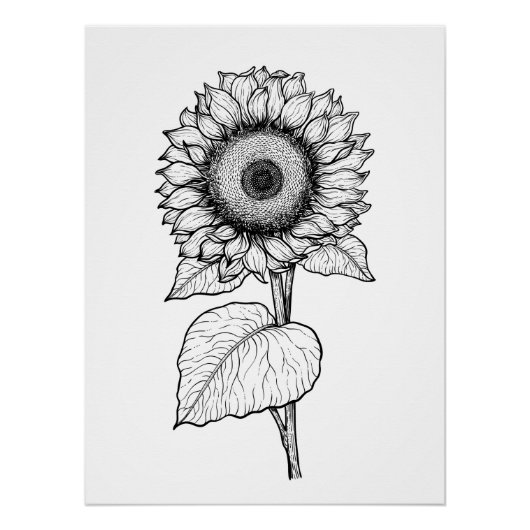 Zonnebloem Perfect Poster (Voorkant)