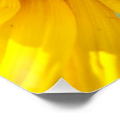 Zonnebloem Perfect Poster (Hoek)