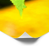 Zonnebloem Perfect Poster (Hoek)