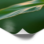 Zonnebloem Perfect Poster (Hoek)