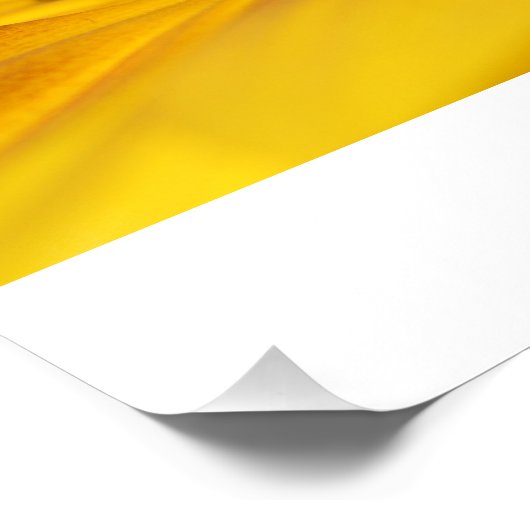 Zonnebloem Perfect Poster (Hoek)