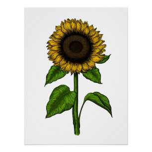 Zonnebloem Perfect Poster