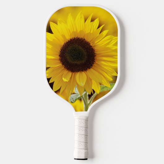 ZONNEBLOEM PICKLE BALL PADDLE (Achterkant)