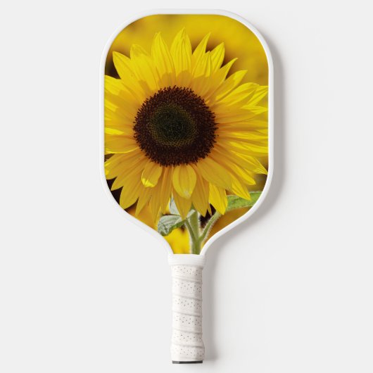 ZONNEBLOEM PICKLE BALL PADDLE (Voorkant)